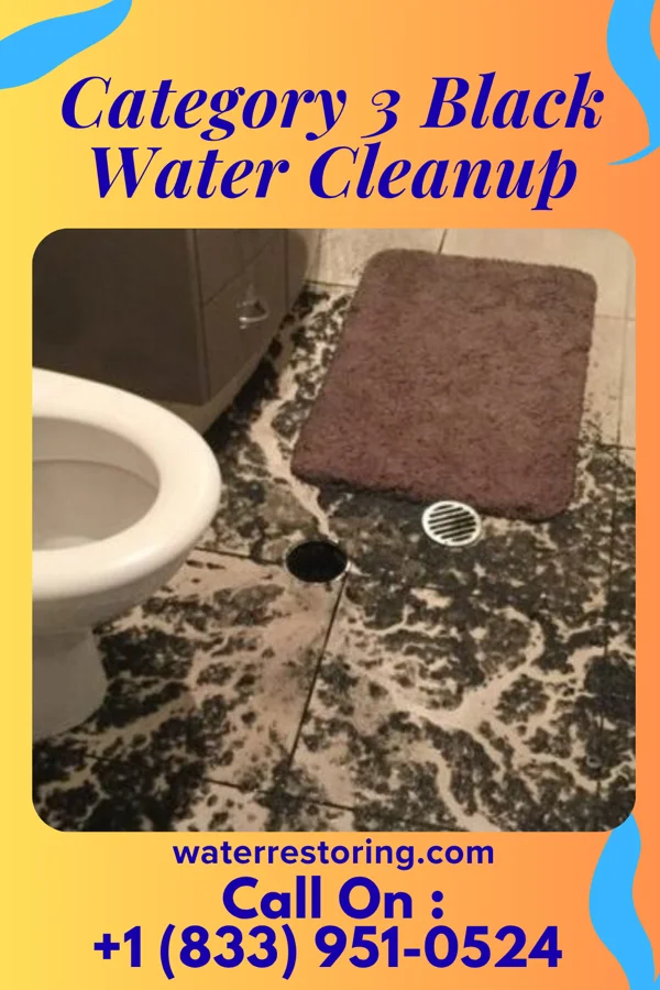 Category 3 Black Water Cleanup in Hutchins, IA